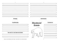 Eisbär-Faltbuch-vierseitig-2.pdf